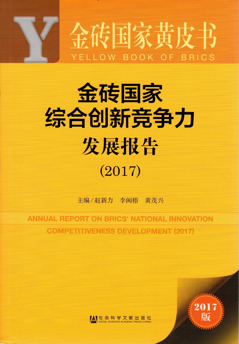 日大肥B在线视频金砖国家综合创新竞争力发展报告（2017）